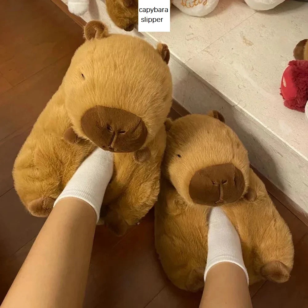 Новинка, тапочки с капибарой,  – обзор и цена Women Shoes Winter