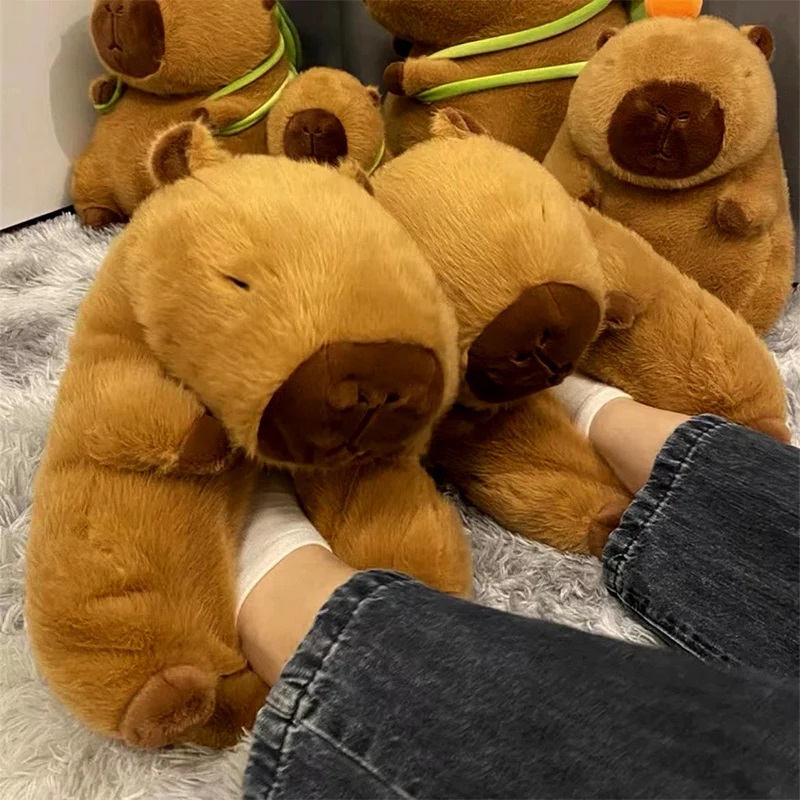 Новинка, тапочки с капибарой,  – обзор и цена Women Shoes Winter